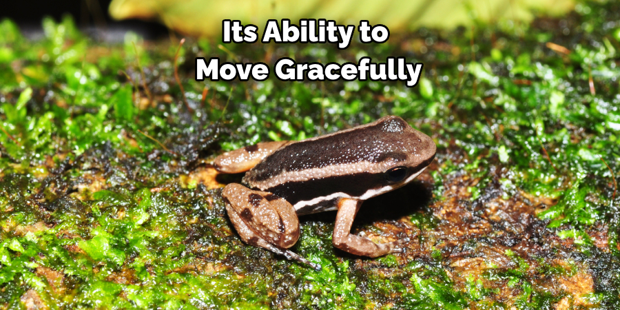 Its Ability to 
Move Gracefully