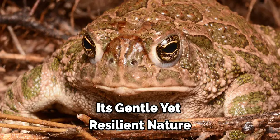  Its Gentle Yet 
Resilient Nature