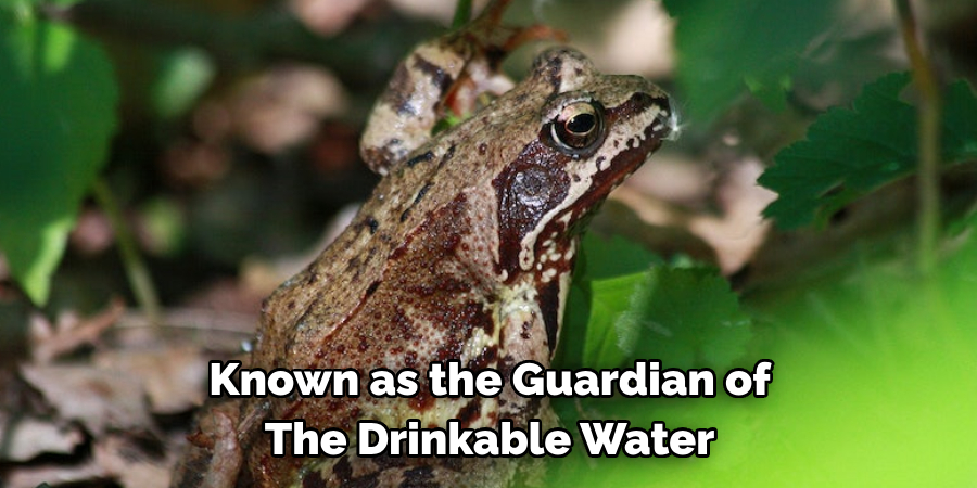 Known as the Guardian of 
The Drinkable Water