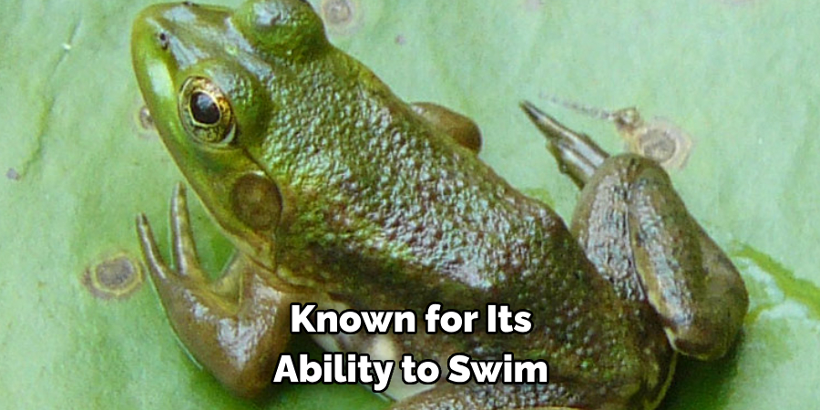 Known for Its 
Ability to Swim