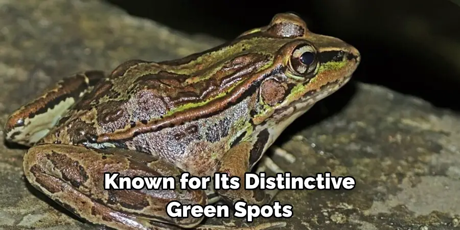 Known for Its Distinctive 
Green Spots