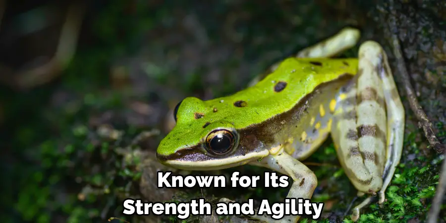 Known for Its 
Strength and Agility