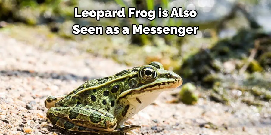 Leopard Frog is Also Seen as a Messenger