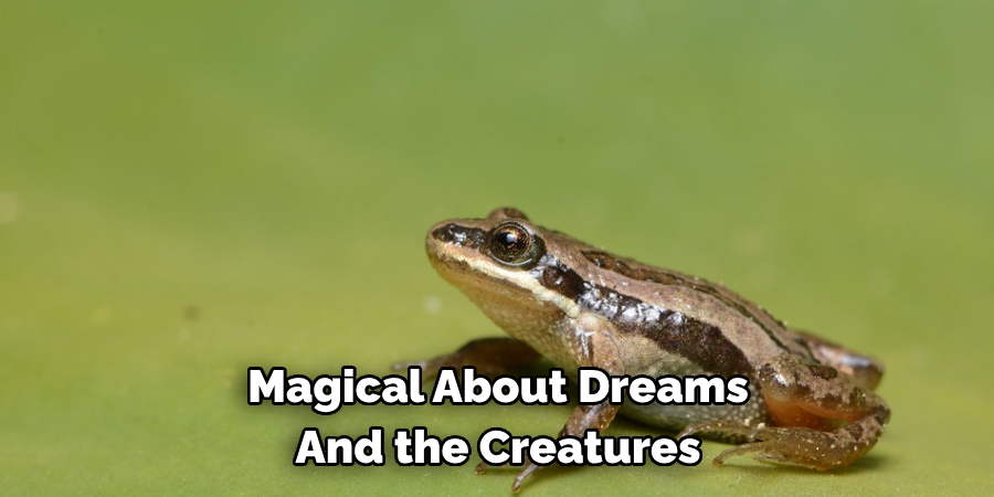 Magical About Dreams 
And the Creatures