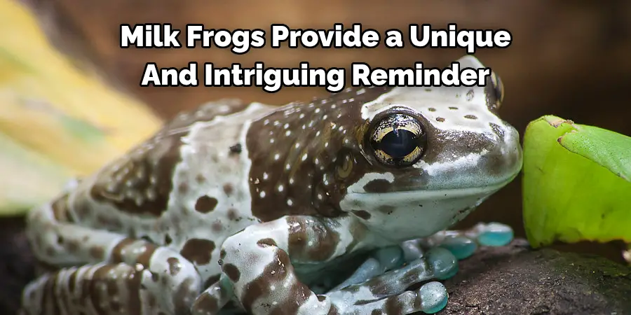 Milk Frogs Provide a Unique
And Intriguing Reminder