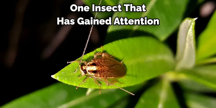 One Insect That 
Has Gained Attention