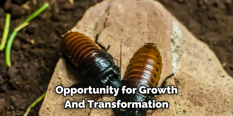 Opportunity for Growth 
And Transformation