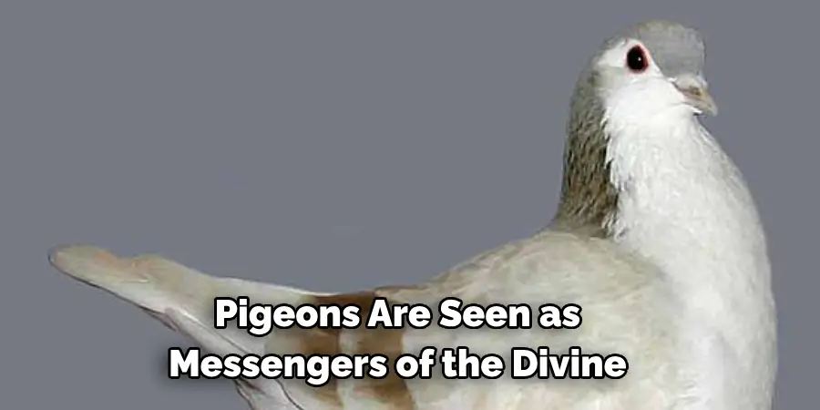 Pigeons Are Seen as 
Messengers of the Divine
