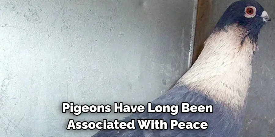 Pigeons Have Long Been
Associated With Peace