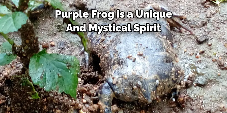 Purple Frog is a Unique 
And Mystical Spirit