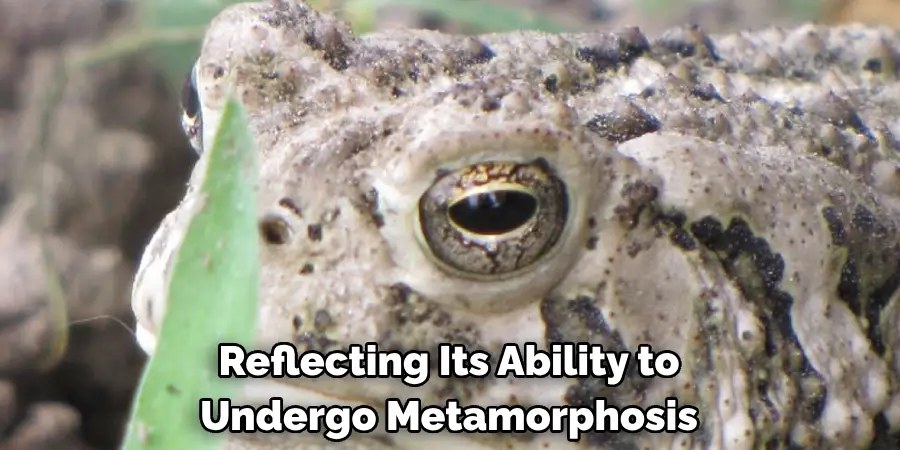 Reflecting Its Ability to 
Undergo Metamorphosis