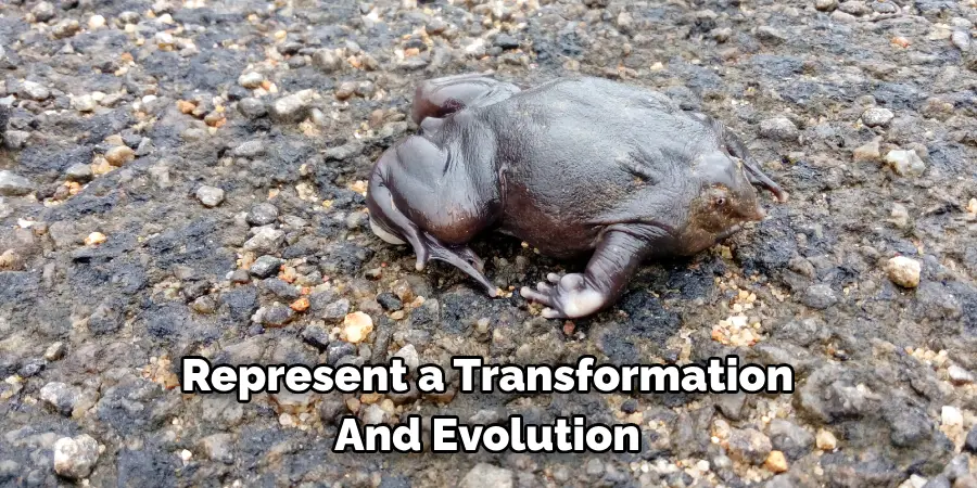 Represent a Transformation 
And Evolution