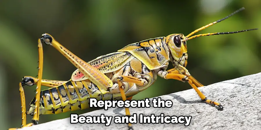 Represent the Beauty and Intricacy 