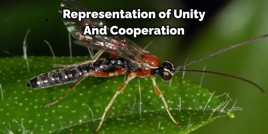 Representation of Unity 
And Cooperation