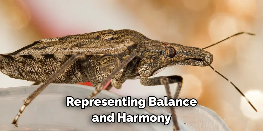 Representing Balance and Harmony