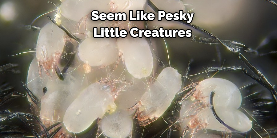 Seem Like Pesky 
Little Creatures