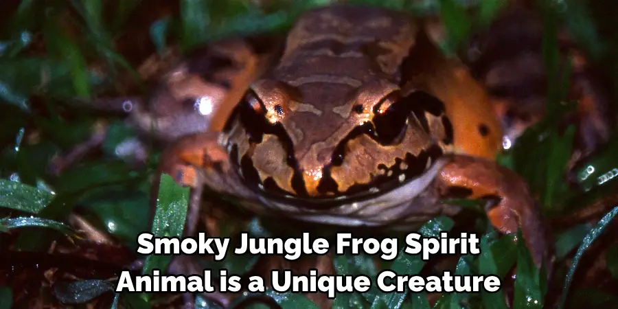 Smoky Jungle Frog Spirit 
Animal is a Unique Creature