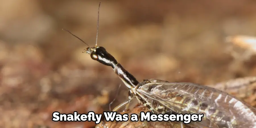 Snakefly Was a Messenger 