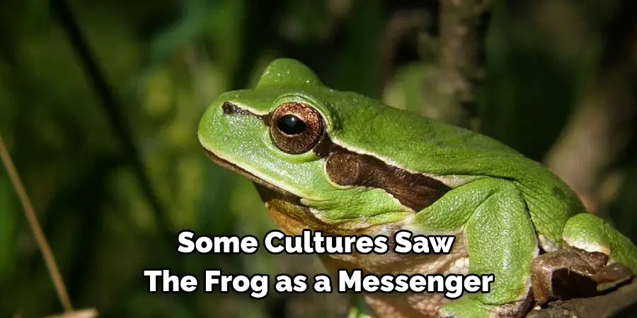 Some Cultures Saw 
The Frog as a Messenger 