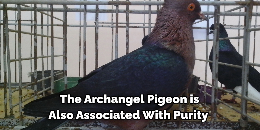 The Archangel Pigeon is 
Also Associated With Purity 