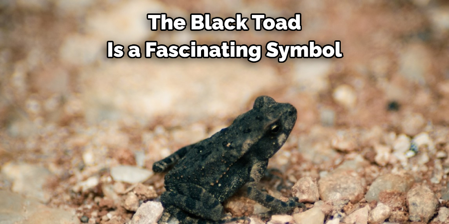The Black Toad 
Is a Fascinating Symbol