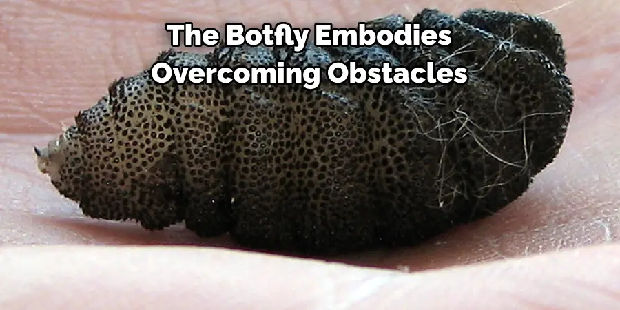 The Botfly Embodies 
Overcoming Obstacles