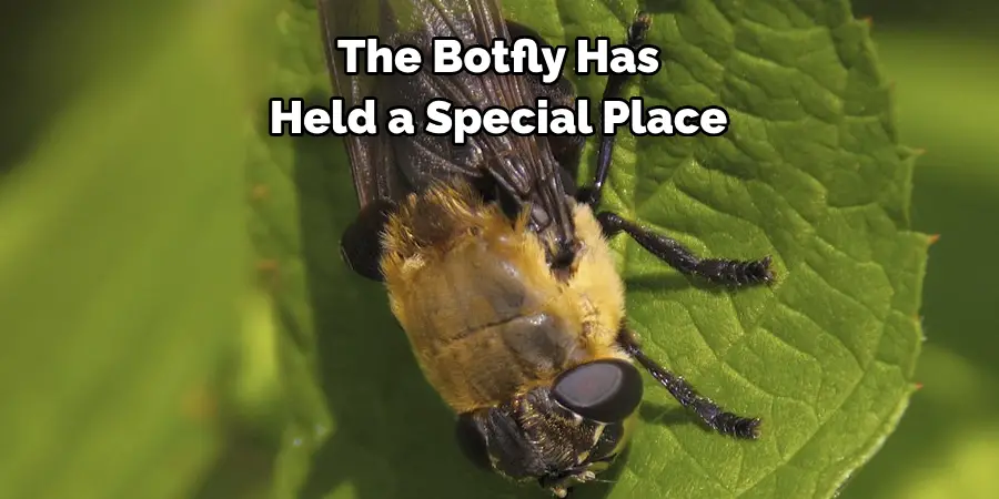 The Botfly Has
Held a Special Place