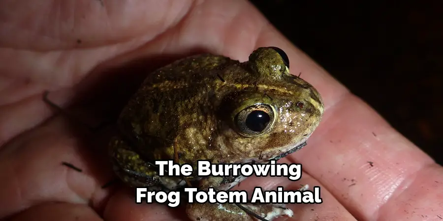 The Burrowing 
Frog Totem Animal