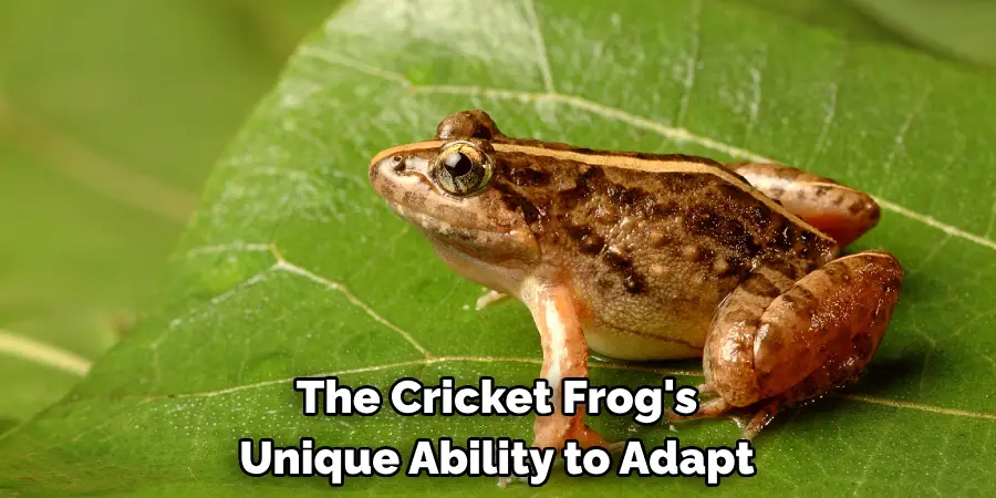 The Cricket Frog's 
Unique Ability to Adapt