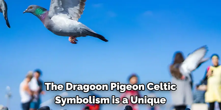 The Dragoon Pigeon Celtic 
Symbolism is a Unique