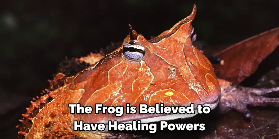 The Frog is Believed to 
Have Healing Powers