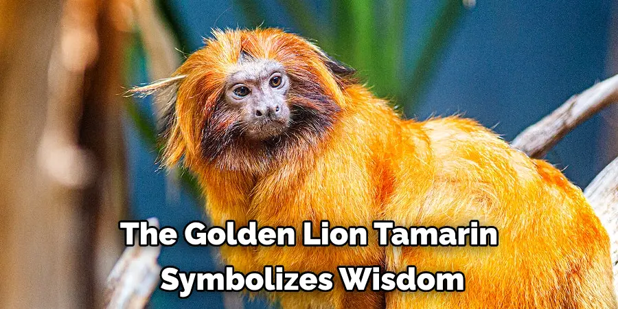 The Golden Lion Tamarin 
Symbolizes Wisdom