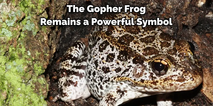 The Gopher Frog 
Remains a Powerful Symbol