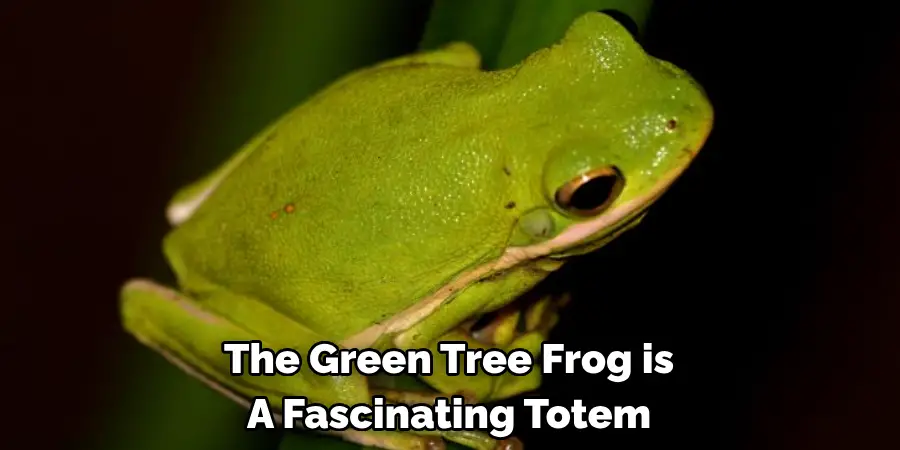 The Green Tree Frog is 
A Fascinating Totem