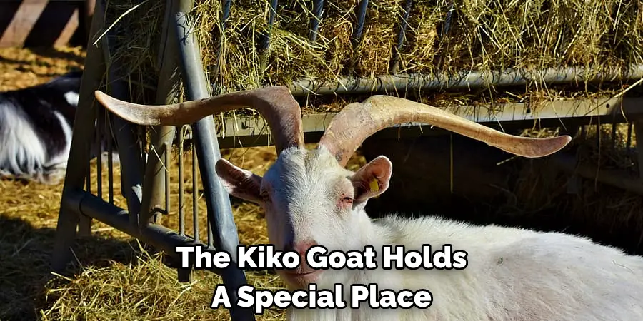 The Kiko Goat Holds 
A Special Place