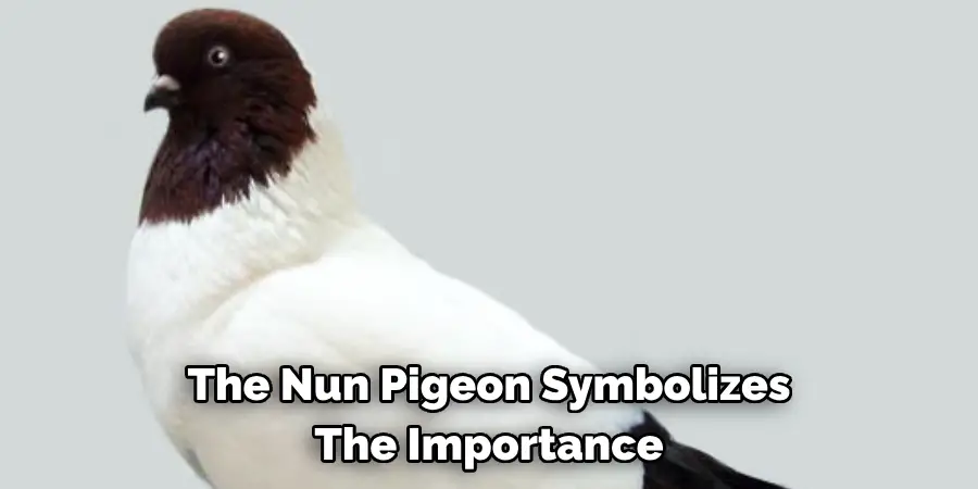 The Nun Pigeon Symbolizes 
The Importance