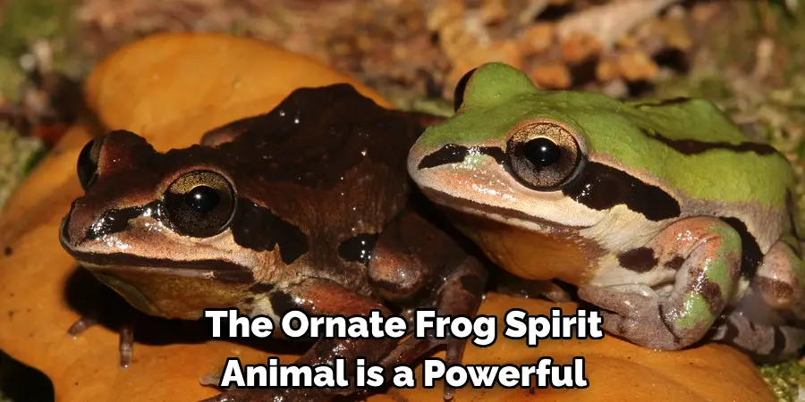 The Ornate Frog Spirit 
Animal is a Powerful