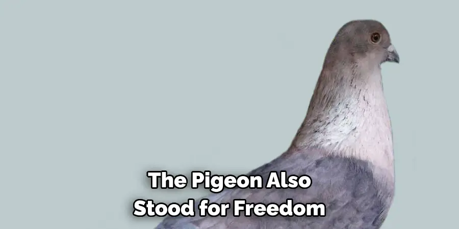 The Pigeon Also 
Stood for Freedom