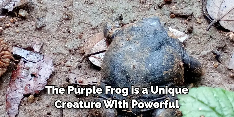 The Purple Frog is a Unique 
Creature With Powerful