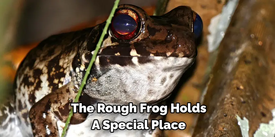 The Rough Frog Holds A Special Place