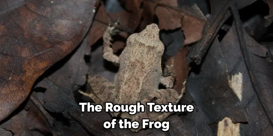 The Rough Texture 
of the Frog