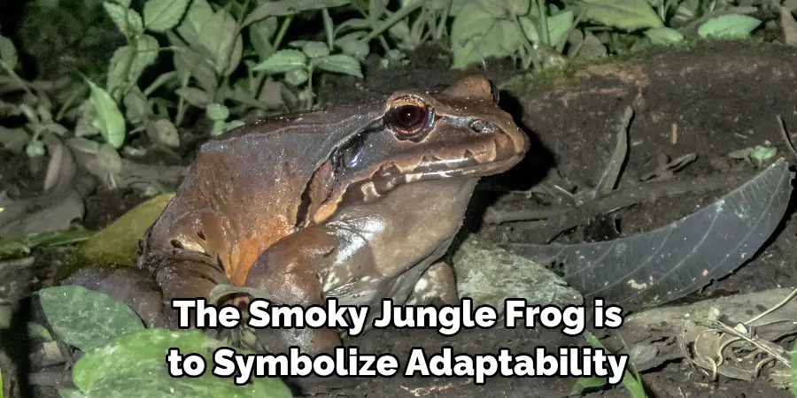 The Smoky Jungle Frog is Believed 
To Symbolize Adaptability
