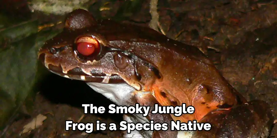 The Smoky Jungle 
Frog is a Species Native