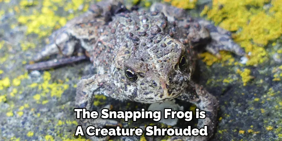 The Snapping Frog is 
A Creature Shrouded