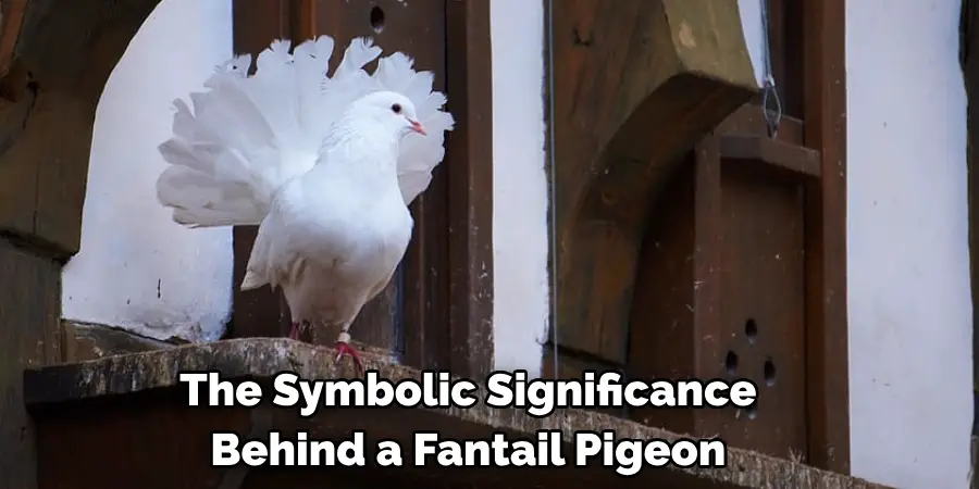 The Symbolic Significance 
Behind a Fantail Pigeon