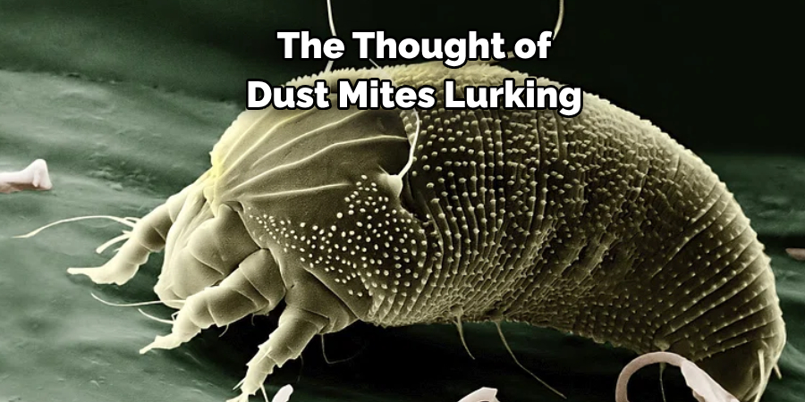The Thought of 
Dust Mites Lurking