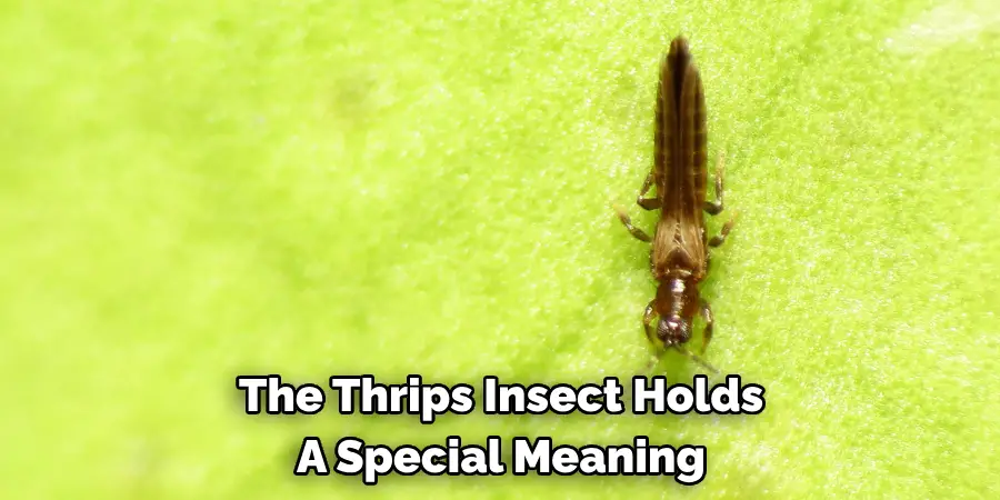 The Thrips Insect Holds 
A Special Meaning