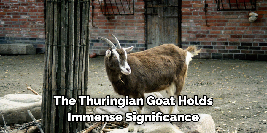 The Thuringian Goat Holds 
Immense Significance