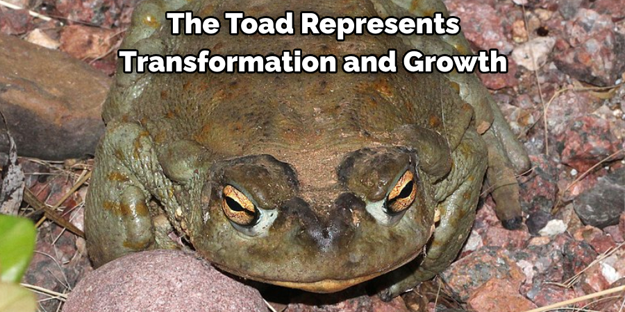 The Toad Represents 
Transformation and Growth