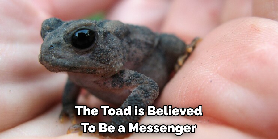 The Toad is Believed 
To Be a Messenger